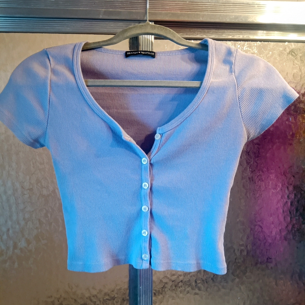 Brandy Melville Lavender Cap Sleeve Zelly Crop Top